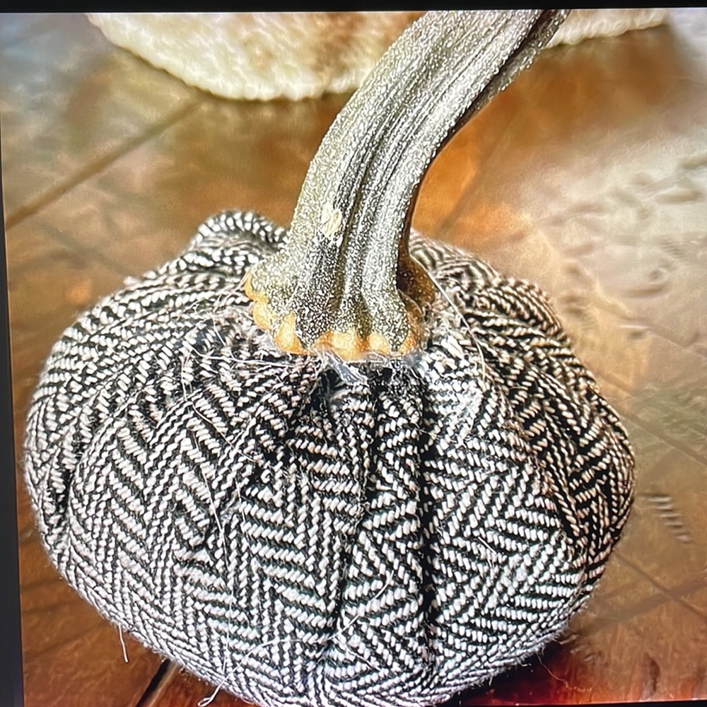 Pumpkin handmade w/real pumpkin stems - Picture 5 of 9